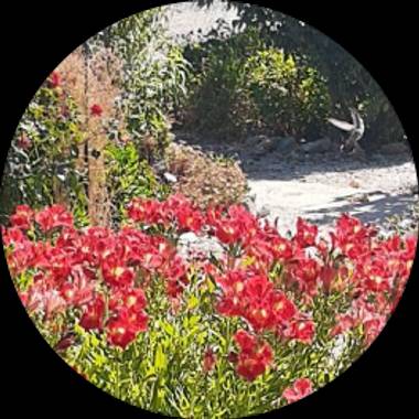 Usuario en Hamelin: viky_18 - Usuario  (Chile)