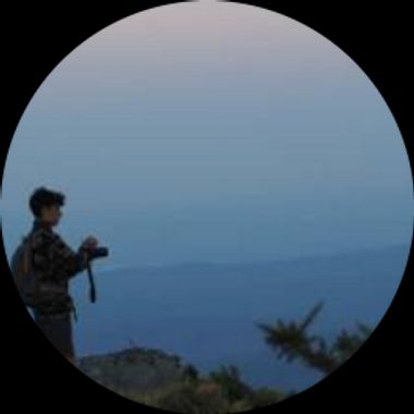 Usuario en Hamelin: wildcapreolus - Usuario 