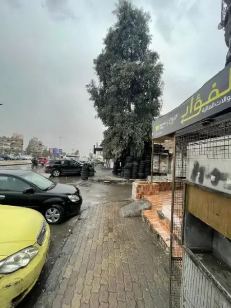 فرصة استثمارية مميزة