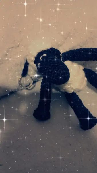ميدالية الخروف شون