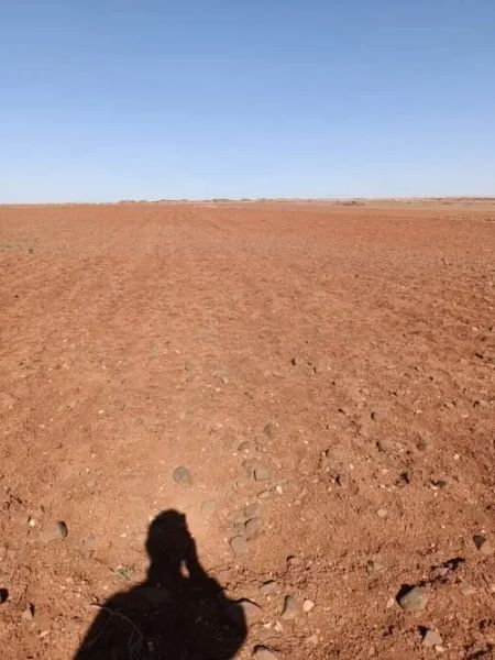 أرض زراعية في تل دهب الشيخ علي