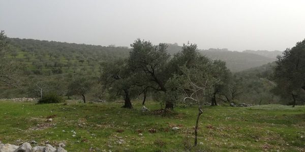 أرض زراعية إطلالة جبلية وبحرية