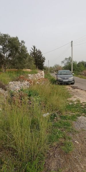 أرض زراعية إطلالة جبلية وبحرية