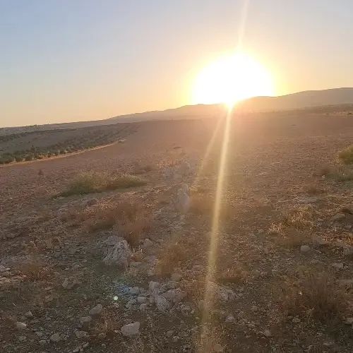 أرض عقارية للبيع