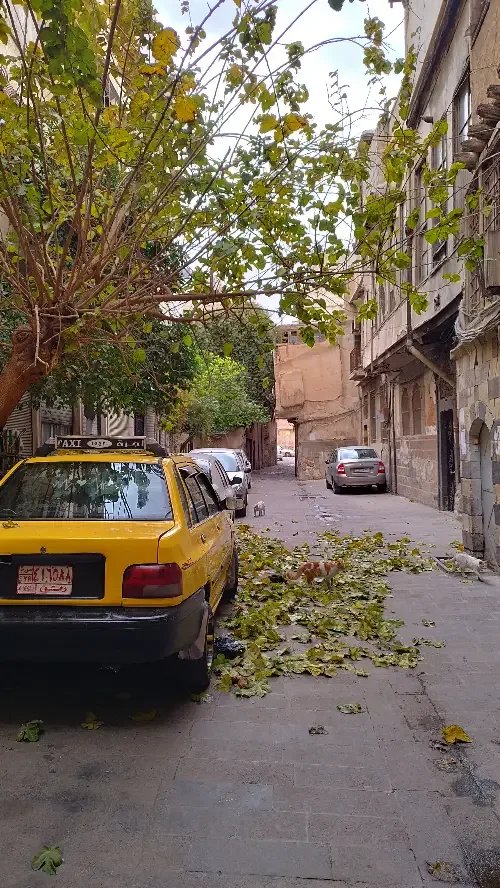 بيت لقطة بموقع حيوي