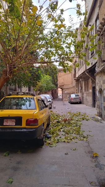 بيت لقطة بموقع حيوي