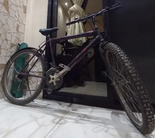 بسكليت جبلي