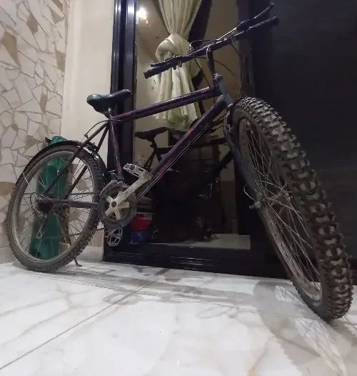 بسكليت جبلي