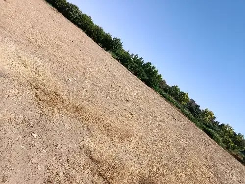 ارض على على طريق المطار بجانب قرية معلا
