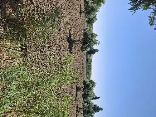 لمحبي الاستثمارات ...بأجمل مناطق ريف دمشق ....جديدة عرطوز ....