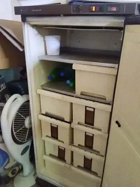 فريزة الحافظ ١٠ دروج تبريد ثلج
