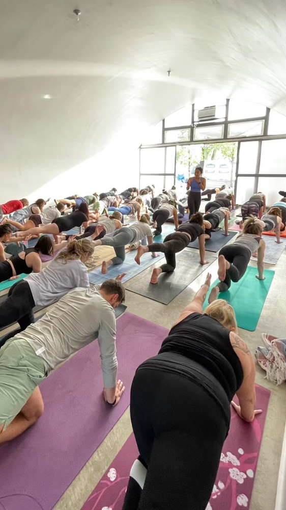 Flow Yoga Center