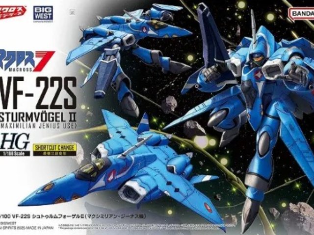 HG 1/100 VF-22S シュトゥルムフォーゲルII(マクシミリアン・ジーナス機