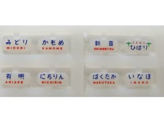 トレインマーク485系ボンネット用(国鉄・文字)