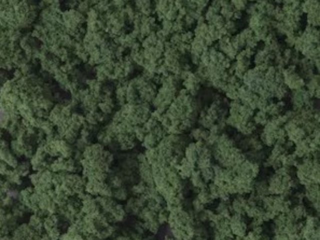 ギガプランツ ダークグリーン