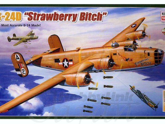 1/72 B-24D ストロベリービッチ