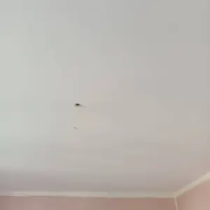 Полагане на грунд преди боядисване по таван