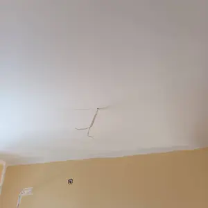 Машинно шлайфане на таван