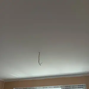 Полагане на 2 ръце латекс по таван