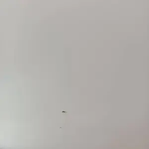 Машинно шлайфане на таван