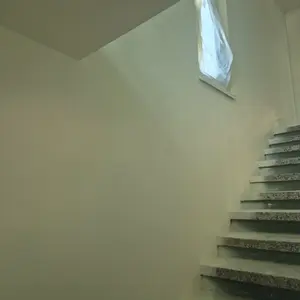 Полагане на латекс по стени