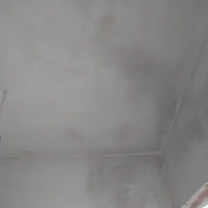 [S02484] - Левски зона Г - Кирил - Полагане на грунд преди полагане на фина шпакловка (шийтрок) по таван - Коридор