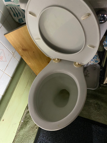 Blocked toilet clearance