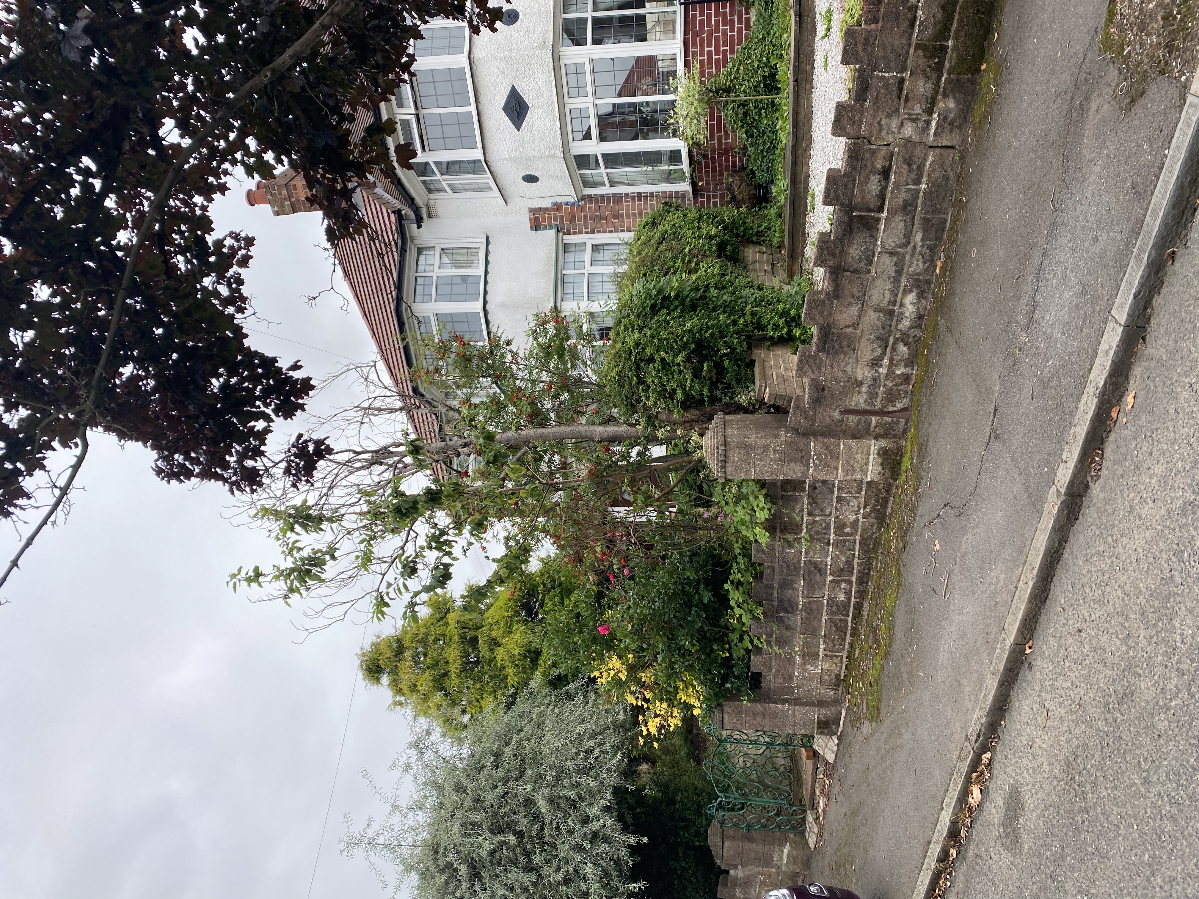 Pre-purchase CCTV drainage condition survey