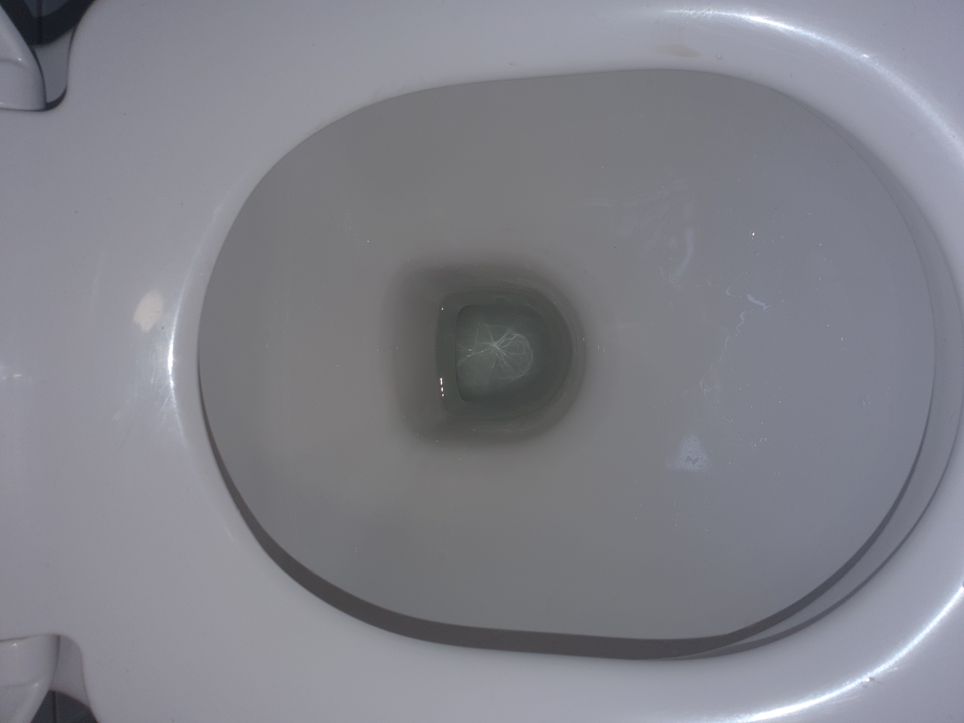 Full flush test confirming waste now draining freely.