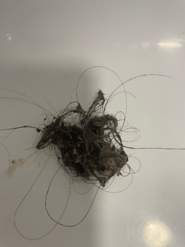 Blocked bath waste line cleared using a wet vacuum during a drainage visit in Golders Green (NW11).
