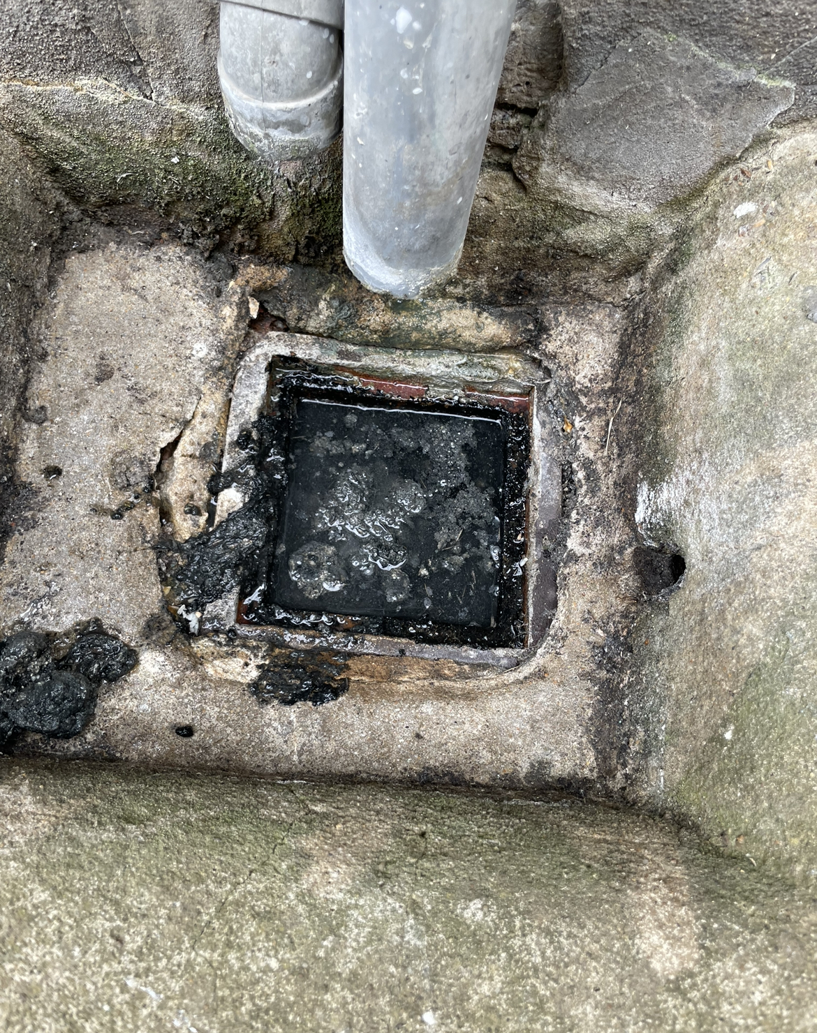 Blocked external gully identified during a drainage visit in Tottenham (N15).