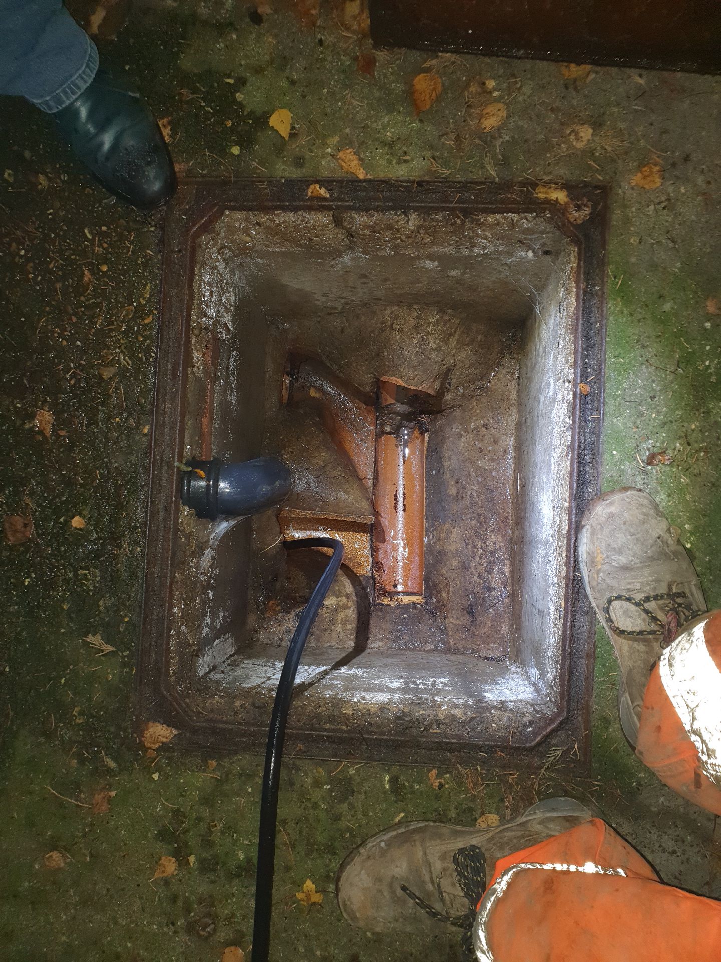 Root ingress visible inside foul drainage line