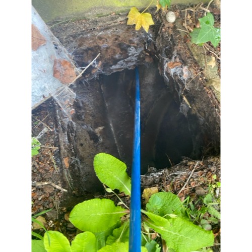 Internal chamber with visible root intrusion restricting free wastewater flow.