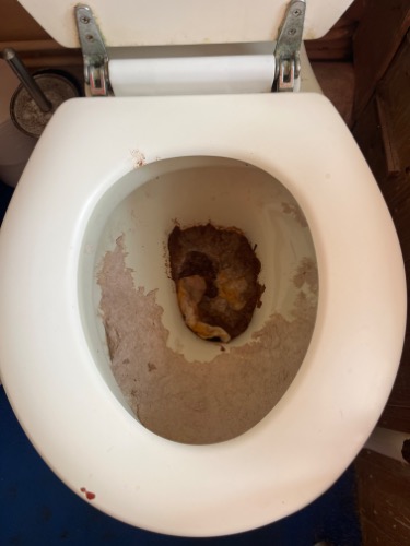 Obstruction cleared restoring full flow at this Loughborough (LE12) home.