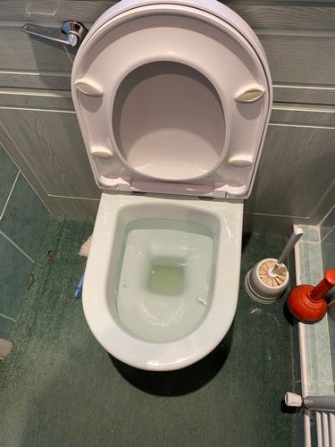 Blocked WC at a home in High Wycombe before clearance.