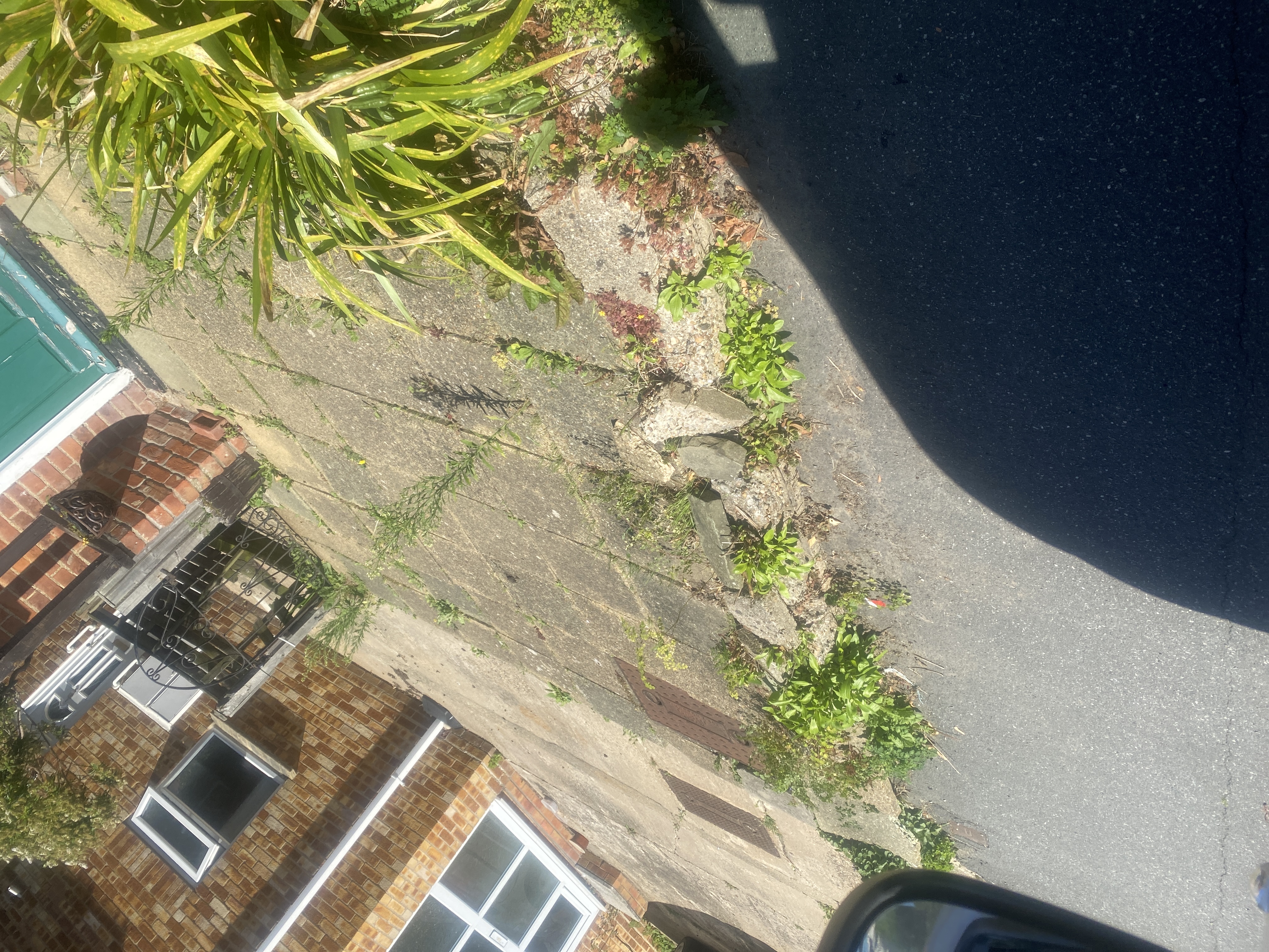Roots restricting drainage flow in the affected pipework in Frinton‑on‑Sea CO13.