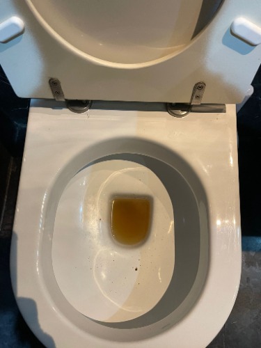 Blocked toilet prior to clearance