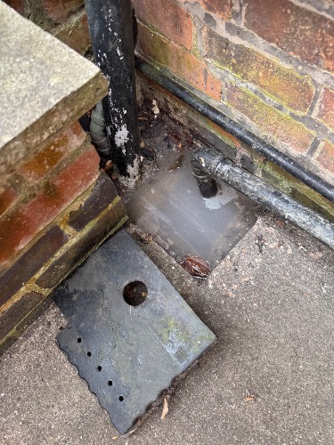 Blocked external gully prior to clearance