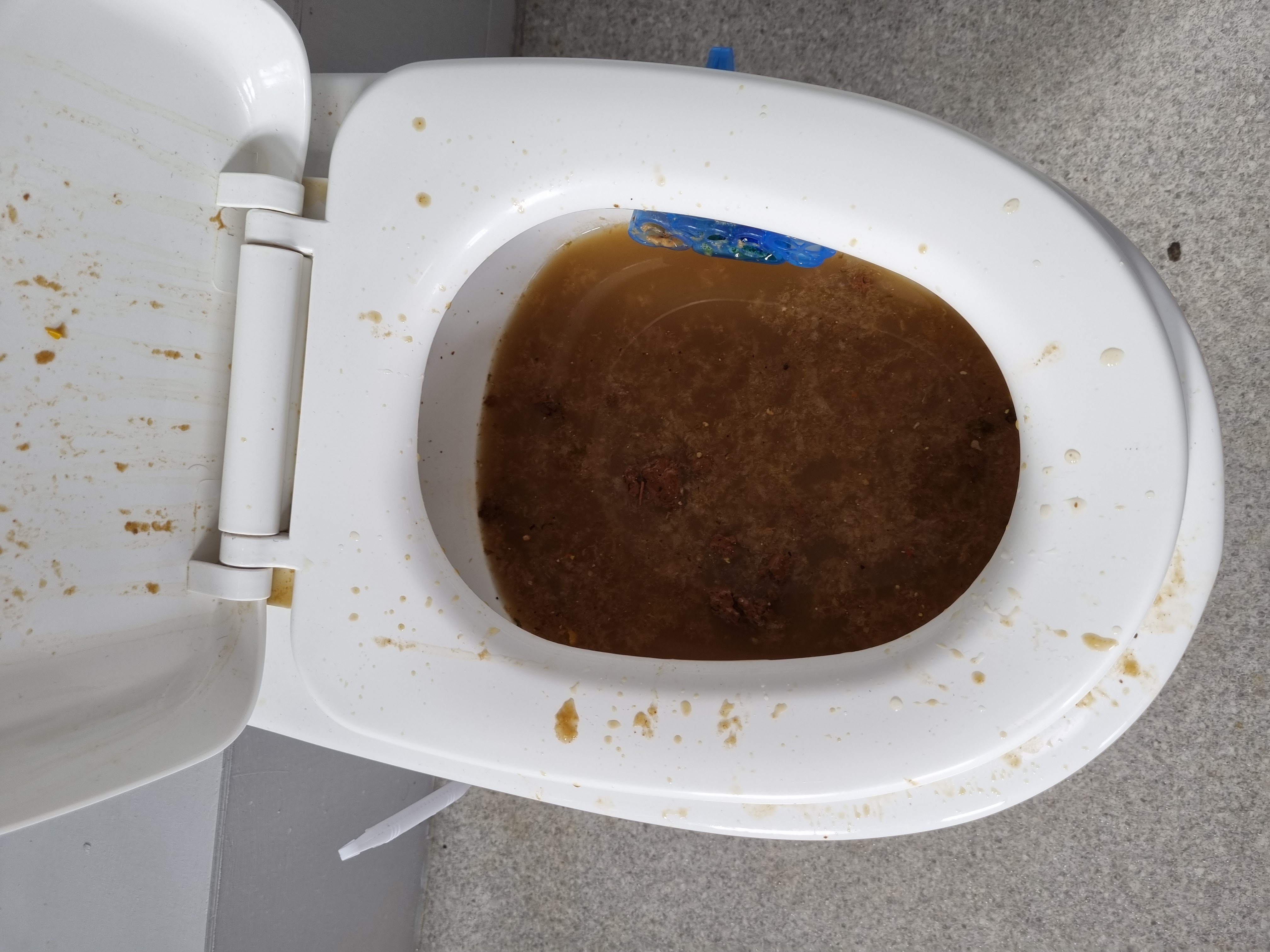 Blocked drain cleared at a residential property in Ipswich, restoring normal drainage flow.