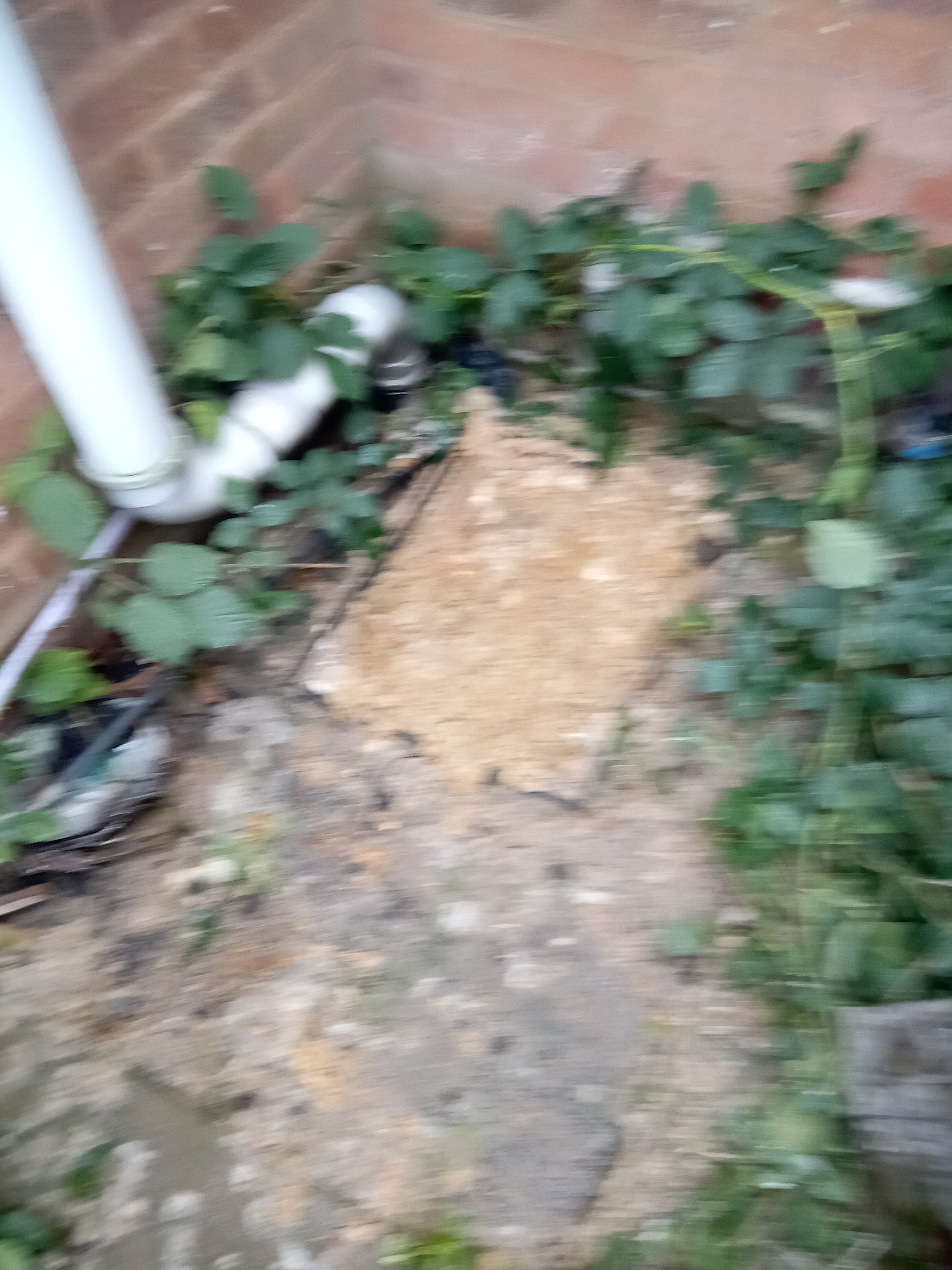 High-pressure jetting carried out at an Oldbury property to clear a tissue-related blockage.