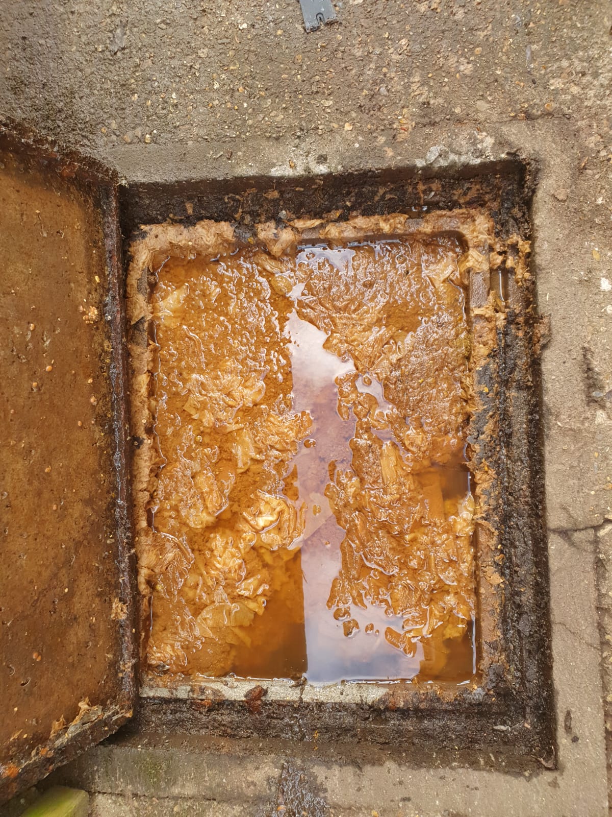 Drainage attendance in Lewisham, with the system left clear and free-flowing on completion.