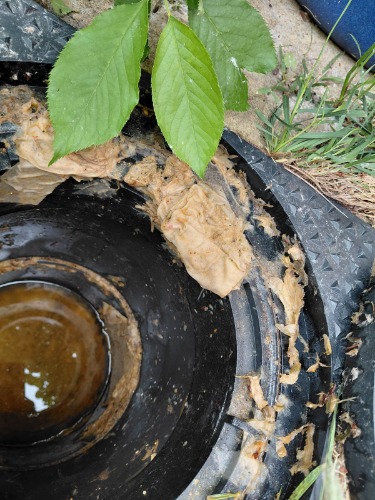 External drain condition prior to clearance at the Chingford property.