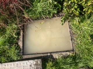 External manhole lifted in Leigh-on-Sea during investigation of a shared drainage blockage.