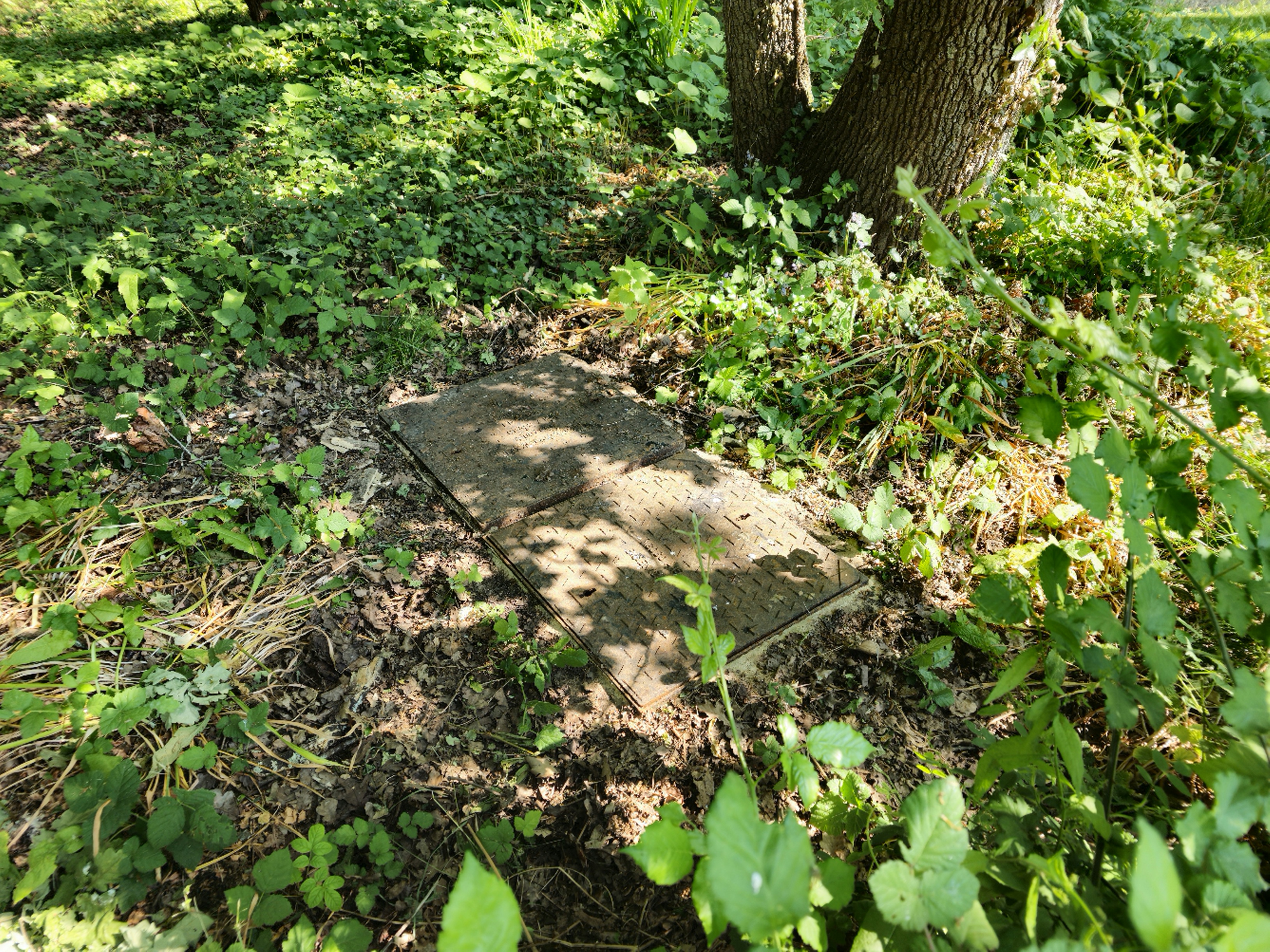 Storm water catch pit holding elevated water levels during investigation in Chichester.