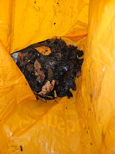 Blocked gully affected by silt and stones at a property in Eastbourne (BN22).