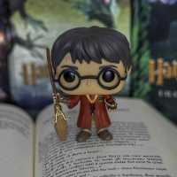 Harry Potter