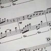 "Animalière musicale" - stage de musique pour enfants