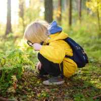 Apprentis jardiniers