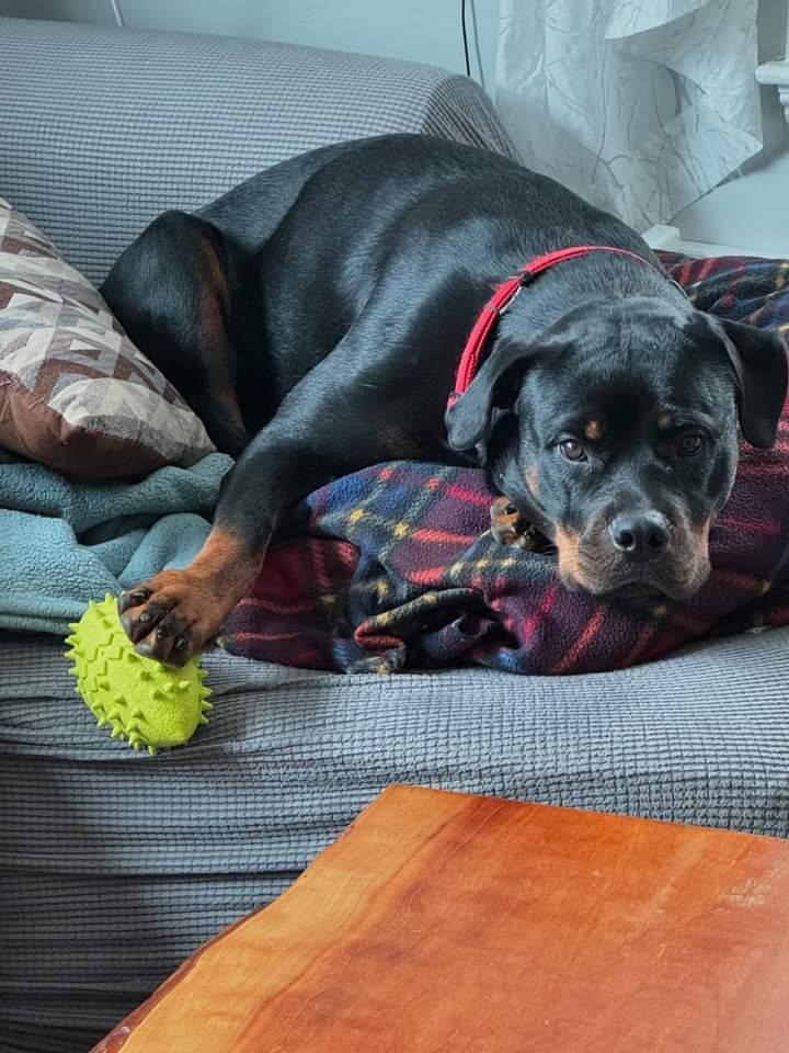 Photo of owner