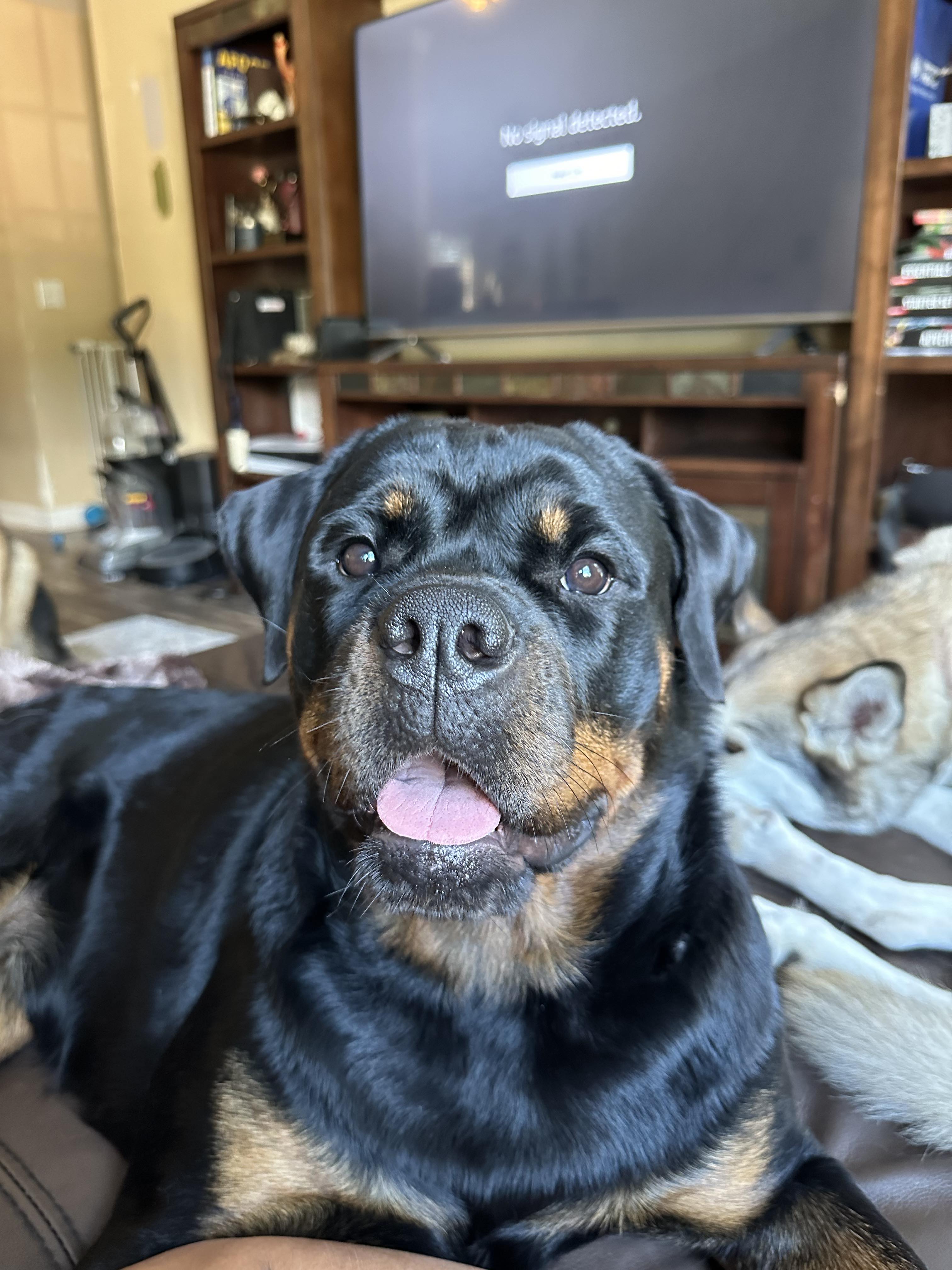Photo of owner